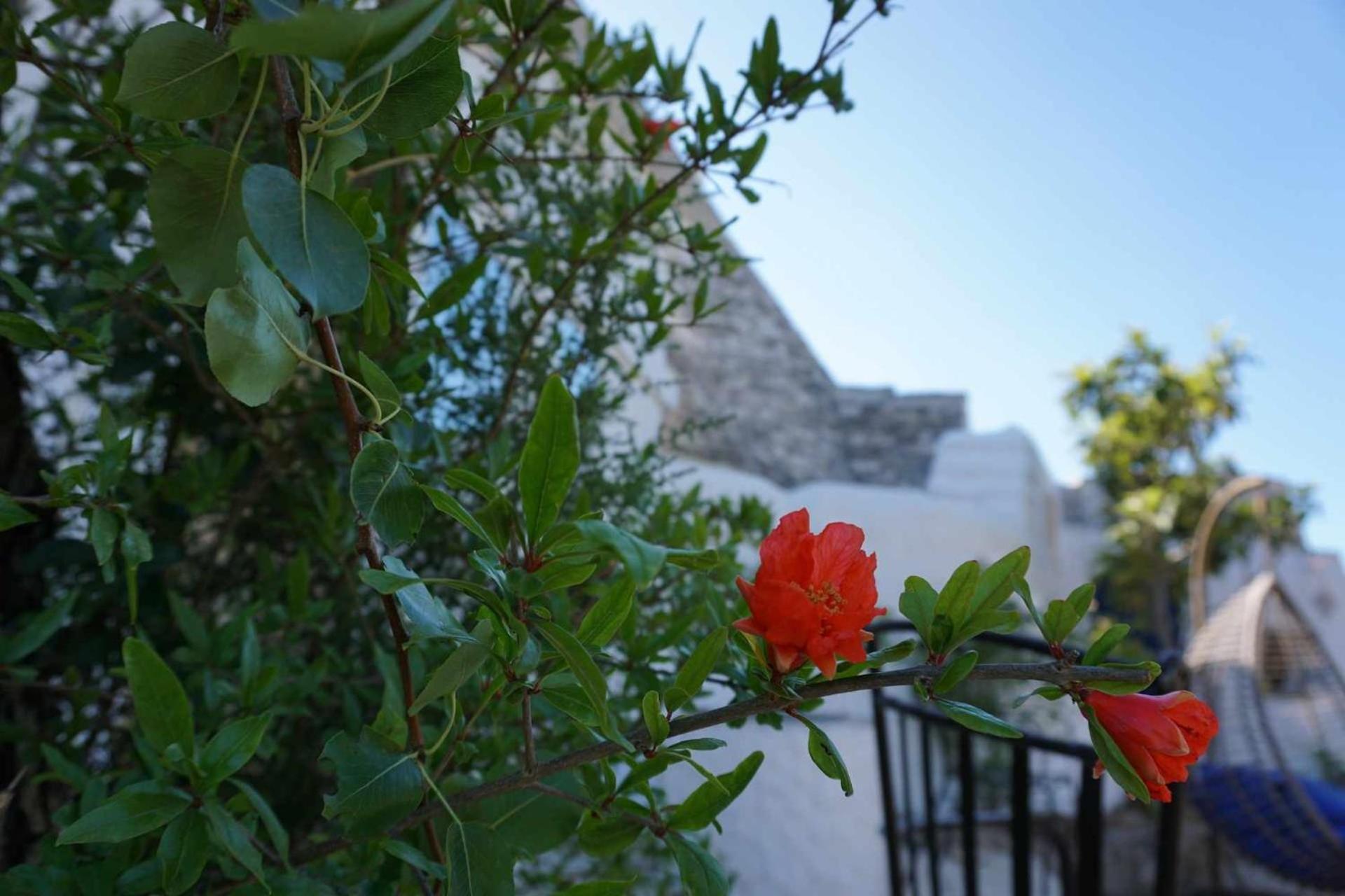 Trullo Biricchino Two Bedroom By Tripostuni Kültér fotó